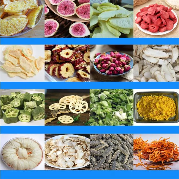 Freeze Dryer for Vegetable, Fruit or Meat, Vacuum Freeze Dryer, Freezing Dryer Equipment