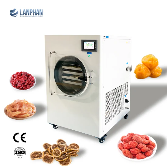 Machine de lyophilisation de viande de fruit de laboratoire